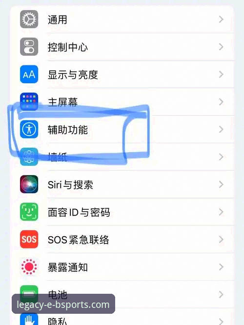 b体育苹果下载 如何在手机上体验b体育苹果下载?一个创新探索者的真实评测